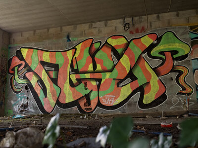 Urbex Floirac, _OMS5786