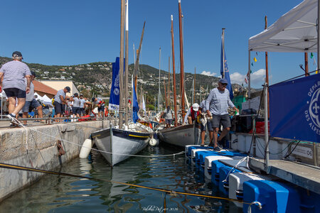 VOILES MARALPINES 2026, voiles.maralpines.2026  1 sur 74 