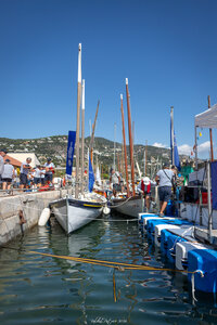VOILES MARALPINES 2026, voiles.maralpines.2026  2 sur 74 
