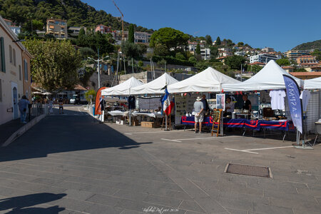 VOILES MARALPINES 2026, voiles.maralpines.2026  7 sur 74 