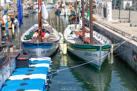 VOILES MARALPINES 2026, voiles.maralpines.2026  27 sur 74 