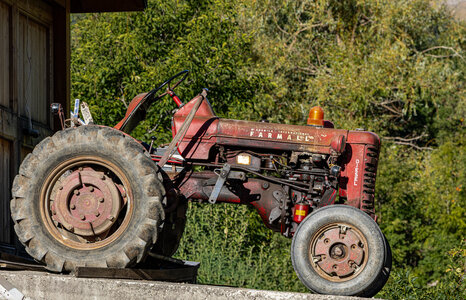 Realon le 22092026, 1L8A4415