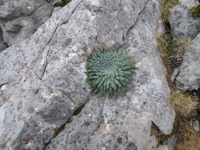 26 09 14 au 18 Randonnée vallée d'Aspe, P1110948