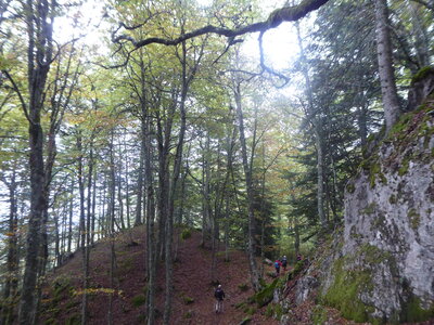 26 09 14 au 18 Randonnée vallée d'Aspe, P1110964
