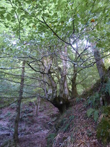 26 09 14 au 18 Randonnée vallée d'Aspe, P1110968