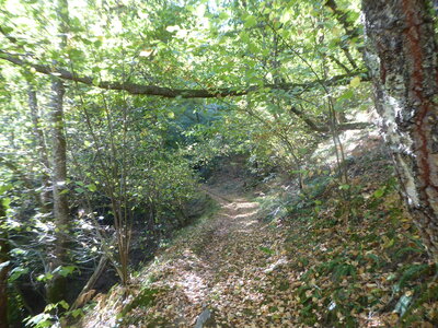 26 09 14 au 18 Randonnée vallée d'Aspe, P1110969