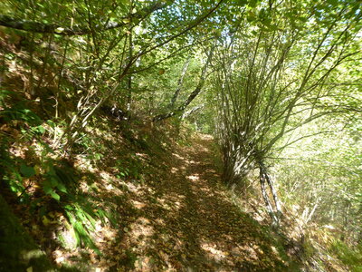 26 09 14 au 18 Randonnée vallée d'Aspe, P1110970