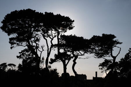 jeanPhilippePoulain, contreJour