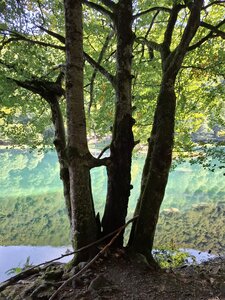 BETELAKE, 20260927_140251