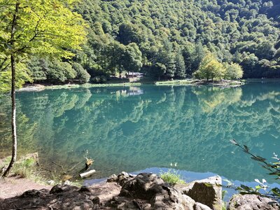 BETELAKE, 20260927_140637