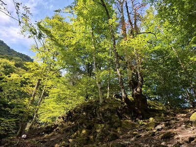 BETELAKE, 20260927_140836