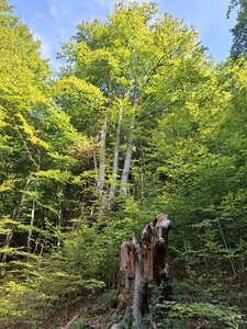 BETELAKE, 20260927_143238