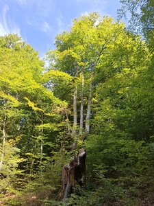 BETELAKE, 20260927_143432