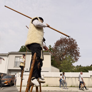 @fmbdx@piaille.fr 2026, Transhumance urbaine, Villenave d'Ornon