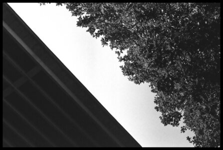 Noir et blanc, P004_FOMA200_19_PT_small