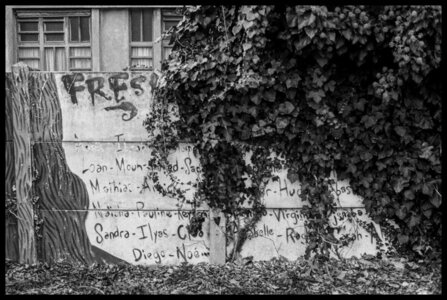 Noir et blanc, P004_FOMA200_29_PT_small