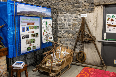 EXPOSITION 2026 des Amis du Patrimoine Bastidon, 1L8A4686
