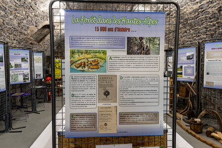EXPOSITION 2026 des Amis du Patrimoine Bastidon, 1L8A4688