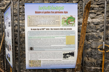 EXPOSITION 2026 des Amis du Patrimoine Bastidon, 1L8A4691