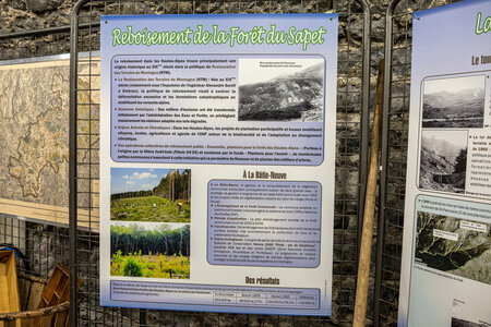 EXPOSITION 2026 des Amis du Patrimoine Bastidon, 1L8A4693