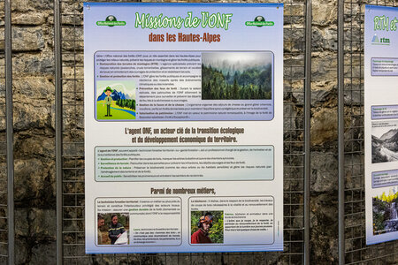 EXPOSITION 2026 des Amis du Patrimoine Bastidon, 1L8A4701
