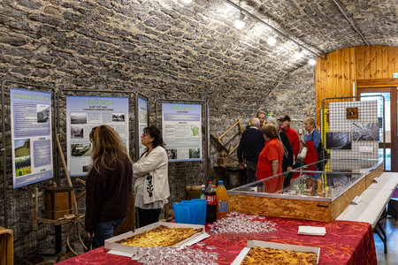 EXPOSITION 2026 des Amis du Patrimoine Bastidon, 1L8A4704