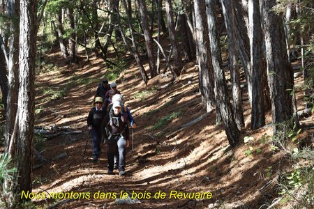 Crête de Revuaire, IMG_3146