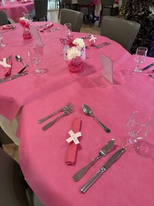 Octobre rose 2026 aux Résidentiels, résidences seniors, O1-Les Résidentiels de Saint-Sulpice-de-Royan 17