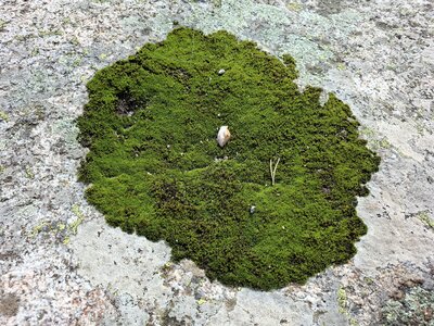 MontaNegraSP23.10, 20261026_112202