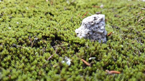 MontaNegraSP23.10, 20261026_114415