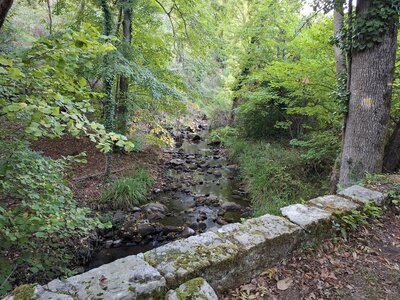 MontaNegraSP23.10, 20261026_172402