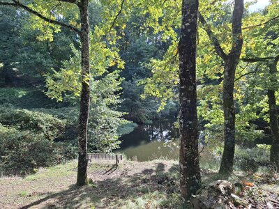 MontaNegraSP23.10, 20261027_104501