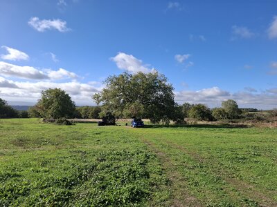 MontaNegraSP23.10, 20261028_102738