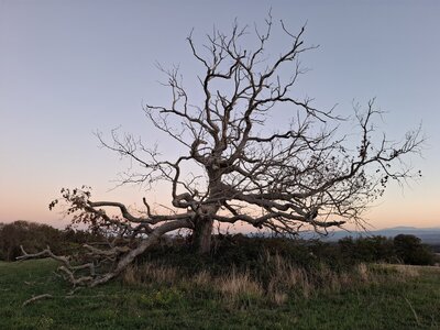 MontaNegraSP23.10, 20261028_174923