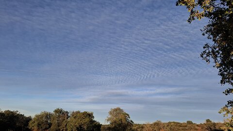 MontaNegraSP23.10, 20261029_075833