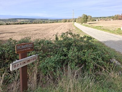 MontaNegraSP23.10, 20261029_091228
