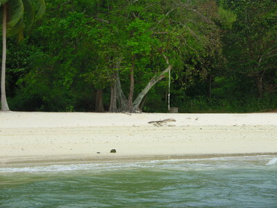 LES ILES / MALAISIE, pons 021