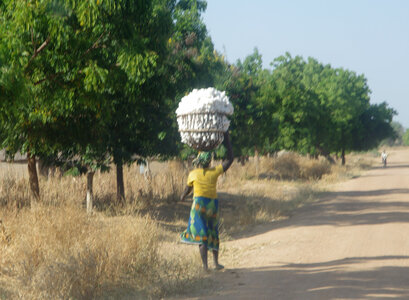CAMEROUN, 12-12-15 Voyage à Maroua  062