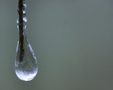 petits rafraichissements, goutte gellée_1