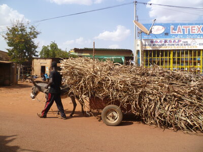 burkina faso novembre 2012, P1000605