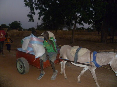 burkina faso novembre 2012, P1000717