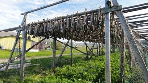 zz, 0018-Mehamn-séchoirs à morues