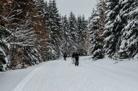 Clermont-Ferrand fevrier 2013, DSC02067