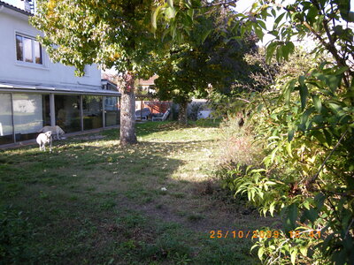 Maison Mont de Marsan, 20091025jardin (2)