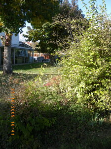 Maison Mont de Marsan, 20091025jardin (6)