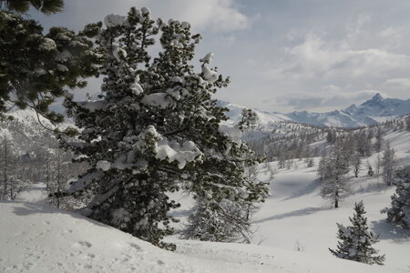2013-02-24 au 03-03 : ski hors pistes et randonnée hautes Alpes et Piemont Italien, ski-montgenevre-escalade-aventure-2013-02-26-20