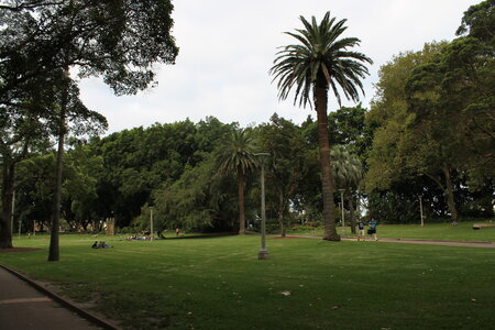 Sydney/Blue mountain, IMG_1342