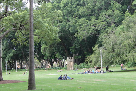 Sydney/Blue mountain, IMG_1343