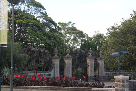 Sydney/Blue mountain, IMG_1379