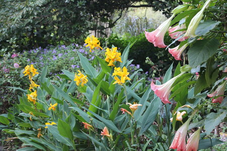 Sydney/Blue mountain, IMG_1389